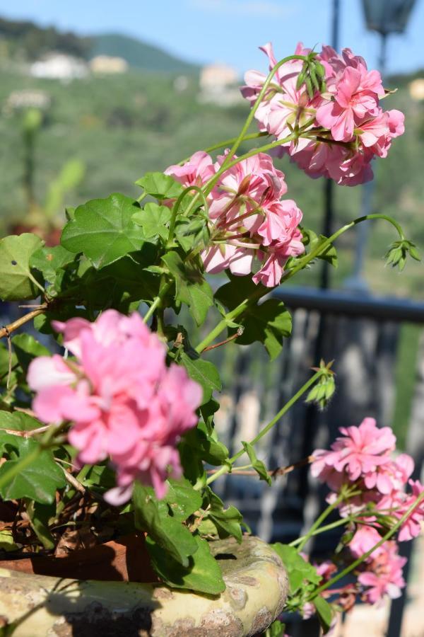 Villa Il Respiro Zoagli Esterno foto