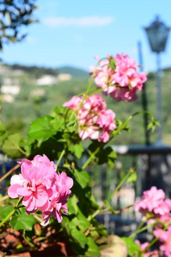 Villa Il Respiro Zoagli Esterno foto